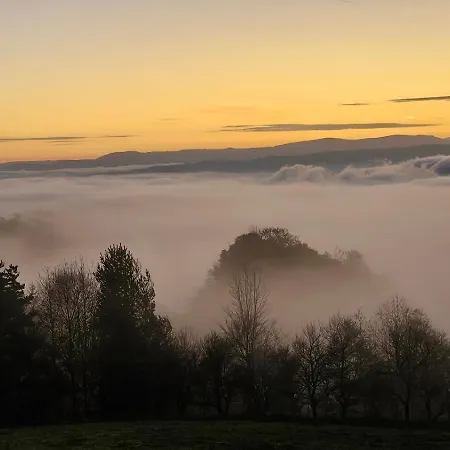 Domus Foresta * Brdo