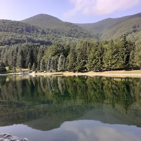 Domus Foresta דירה *