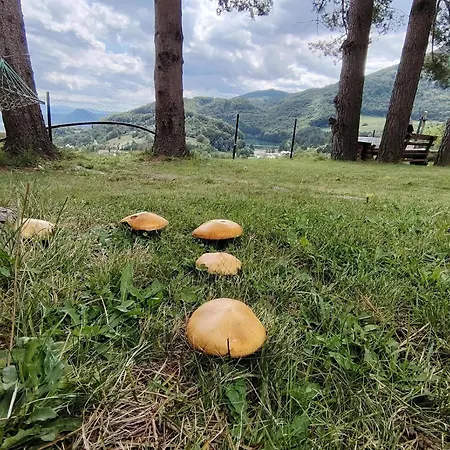 דירה Domus Foresta Brdo