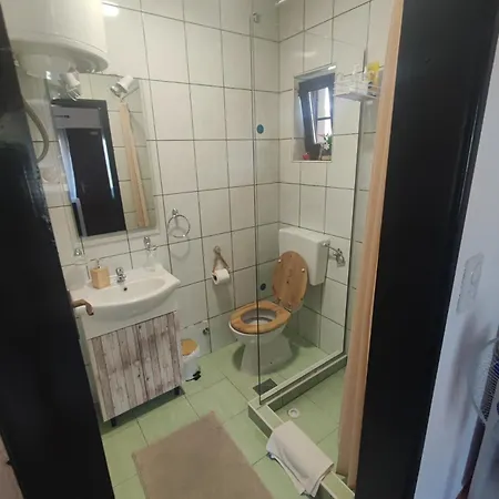 Domus Foresta דירה Brdo