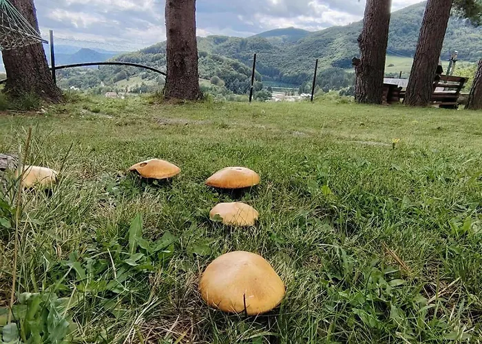 شقة Domus Foresta Brdo